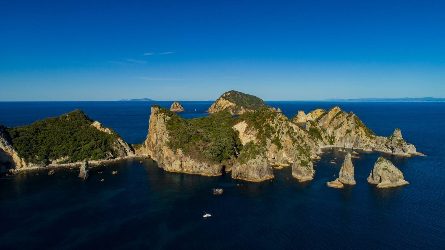A seabird stronghold